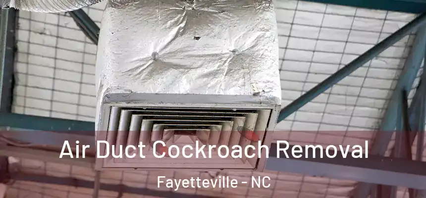  Air Duct Cockroach Removal Fayetteville - NC