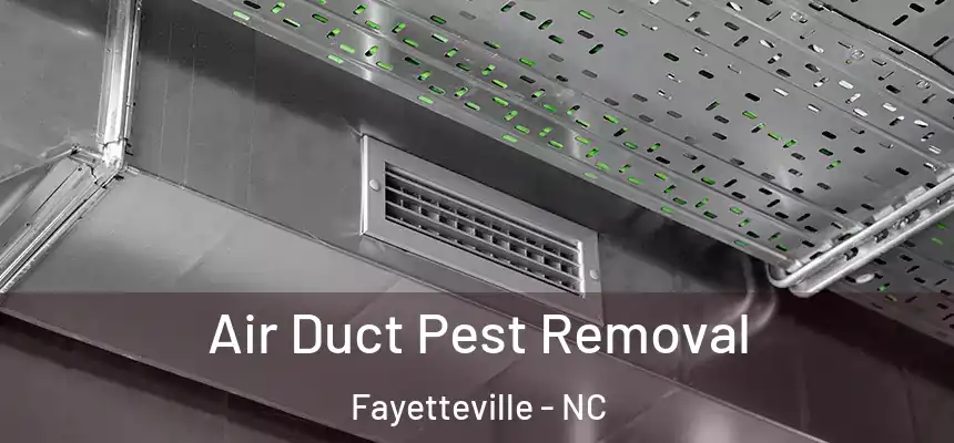Air Duct Pest Removal Fayetteville - NC