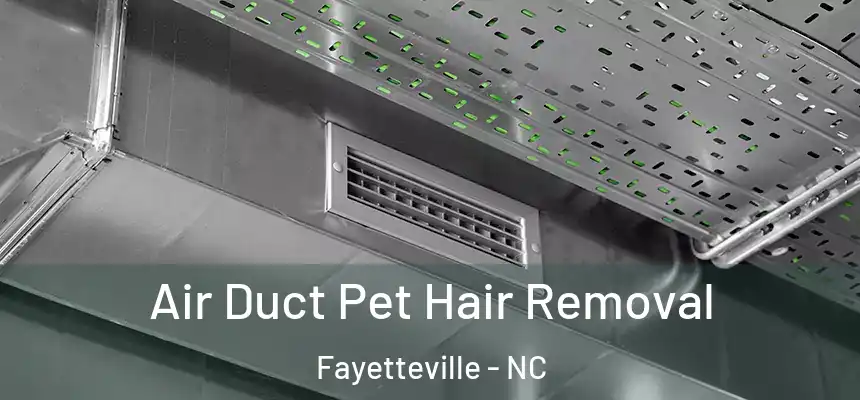  Air Duct Pet Hair Removal Fayetteville - NC