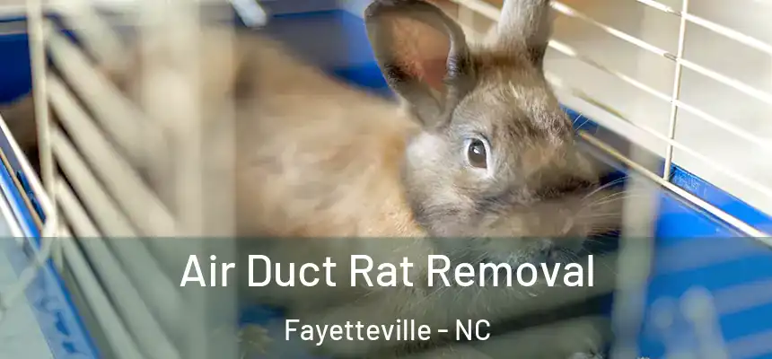 Air Duct Rat Removal Fayetteville - NC