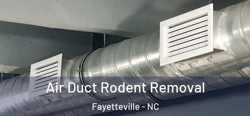 Air Duct Rodent Removal Fayetteville - NC