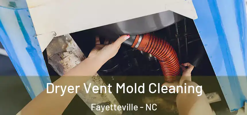 Dryer Vent Mold Cleaning Fayetteville - NC
