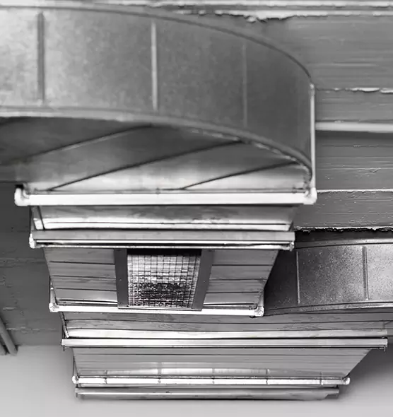 Professional Air Duct Pest Removal in Fayetteville, NC