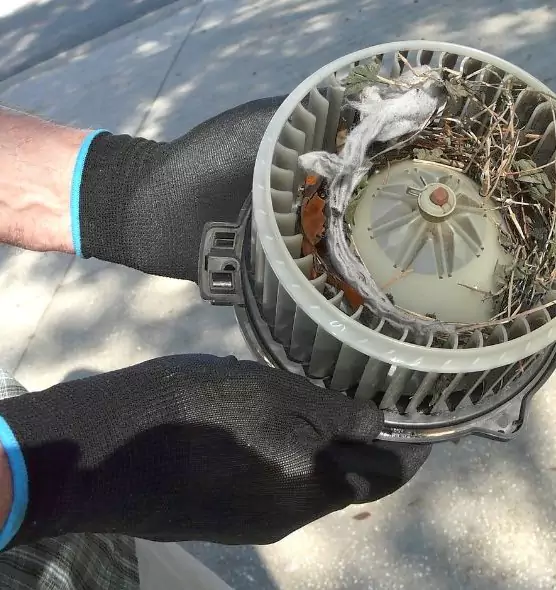 About Air Duct Rat Removal in Fayetteville, NC