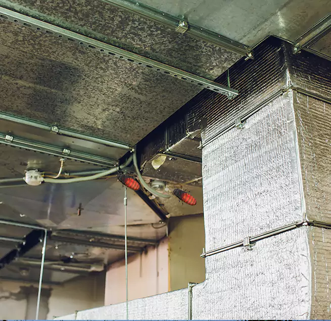 Why Homeowners & Businesses Trust Us in Fayetteville, NC?