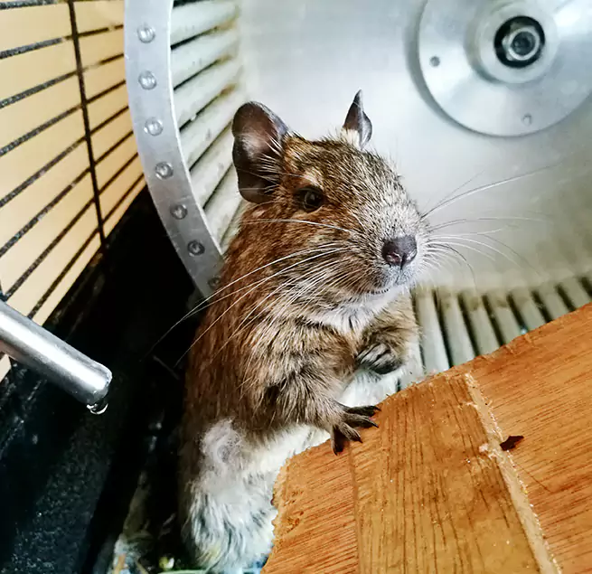 Why Homeowners & Businesses Trust Us Fayetteville, NC