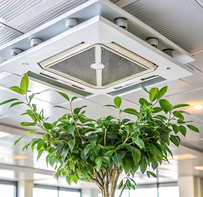 Why Homeowners & Businesses Trust Us in Fayetteville, NC?